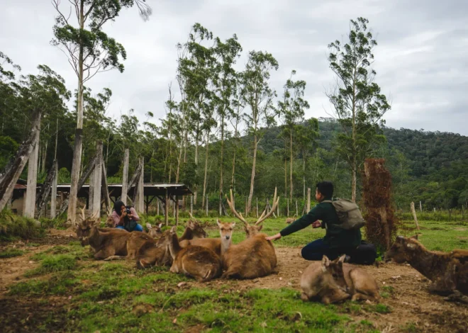 6 Cheap and Fun Family Tourist Attractions in Bandung
