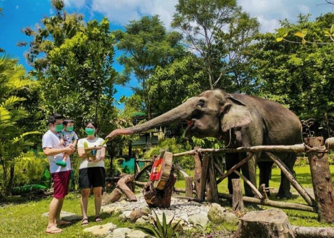 7 family tourist attractions in Jogja, suitable for the little ones!